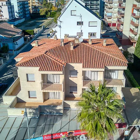 Mismar-7 By Interhome Roses